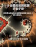 几何展开图项目书